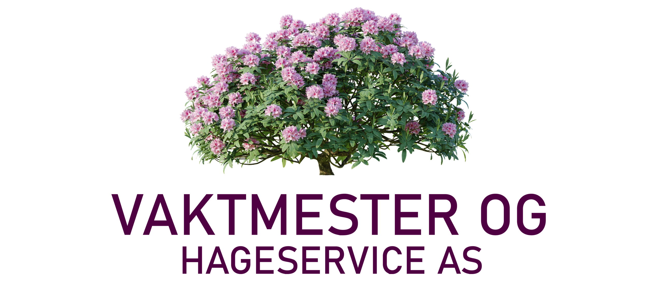 Vaktmester og Hageservice AS